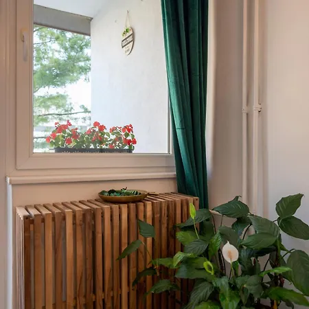 Midway Premium Brand New